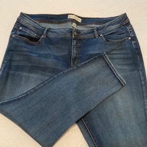 Cato Curvy Denim Jeans-18WP